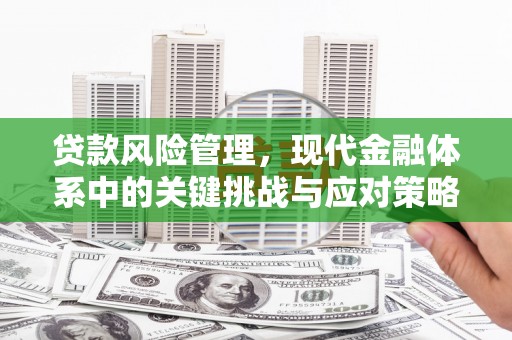 茌平贷款风险管理，现代金融体系中的关键挑战与应对策略